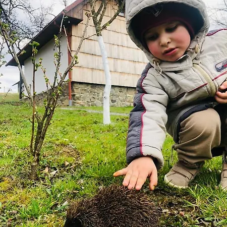 еко дім з соломи Dom wakacyjny Solochin