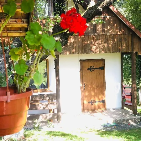 еко дім з соломи Holiday home Solochin