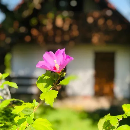 Casa de Férias еко дім з соломи *