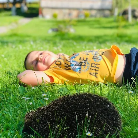 еко дім з соломи Casa de Férias *