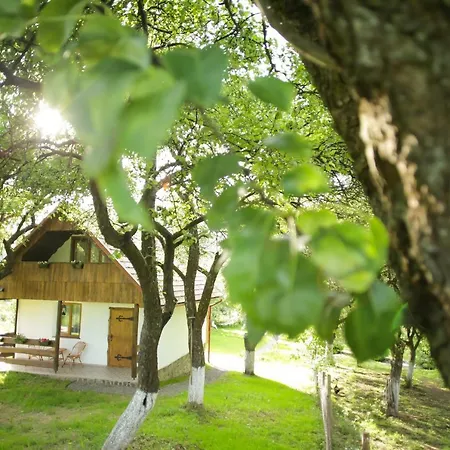еко дім з соломи * Solochin