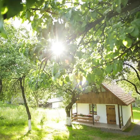 еко дім з соломи Holiday home Solochin