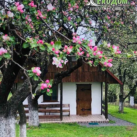еко дім з соломи Soločin
